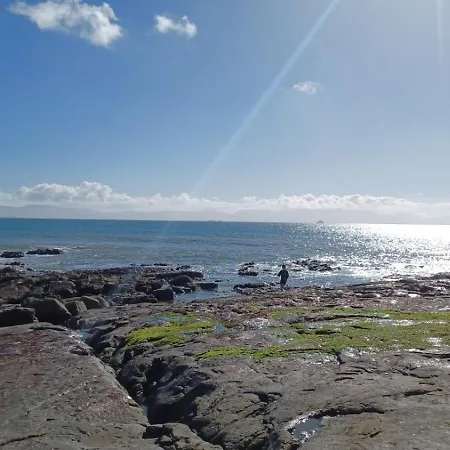 The Willows In Kerry * Tralee