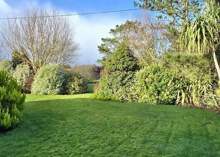 The Willows In Kerry * Tralee