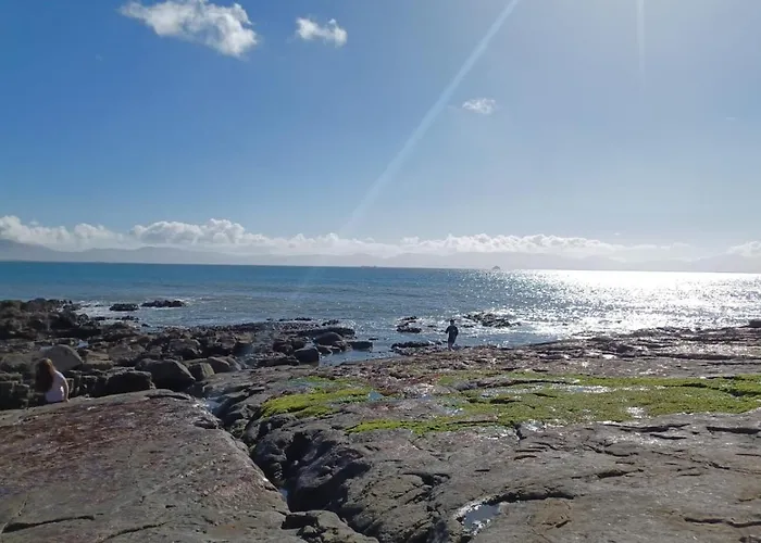 The Willows In Kerry * Tralee